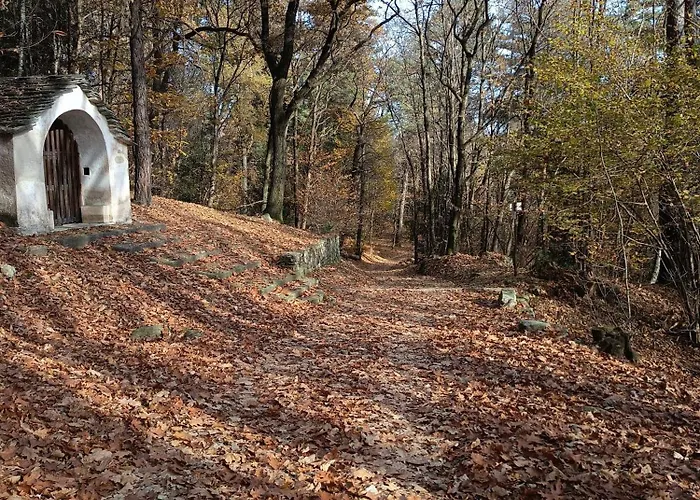 Cherryhome * Arizzano